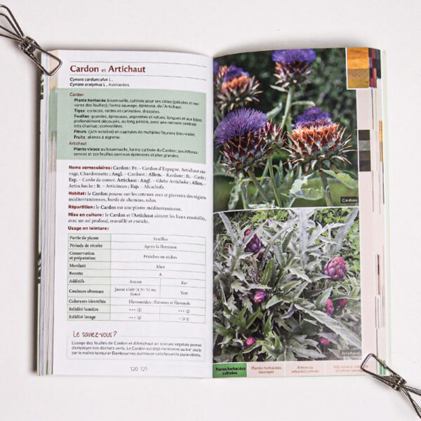 Guide des teintures naturelles - plantes à fleurs guide des teintures naturelles