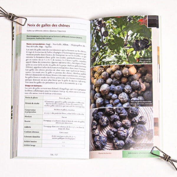 Guide des teintures naturelles - plantes à fleurs guide des teintures naturelles