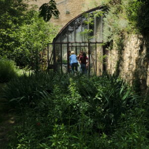 Formation : Culture, production et récolte de plantes tinctoriales