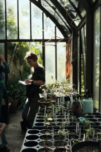 Formation : Culture, production et récolte de plantes tinctoriales