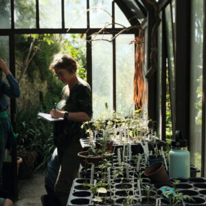 Formation : Culture, production et récolte de plantes tinctoriales