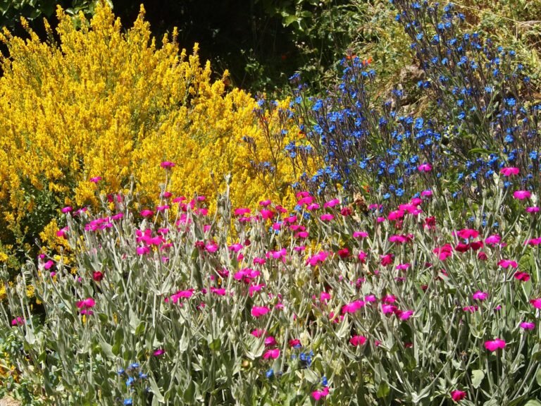 article formation culture