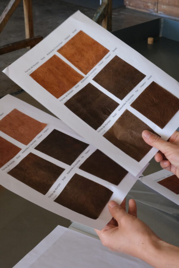 kakishibu en poudre Kakishibu en poudre