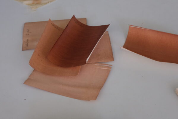 Kakishibu en poudre Kakishibu en poudre