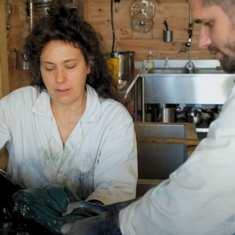 Article Boras/Histon project