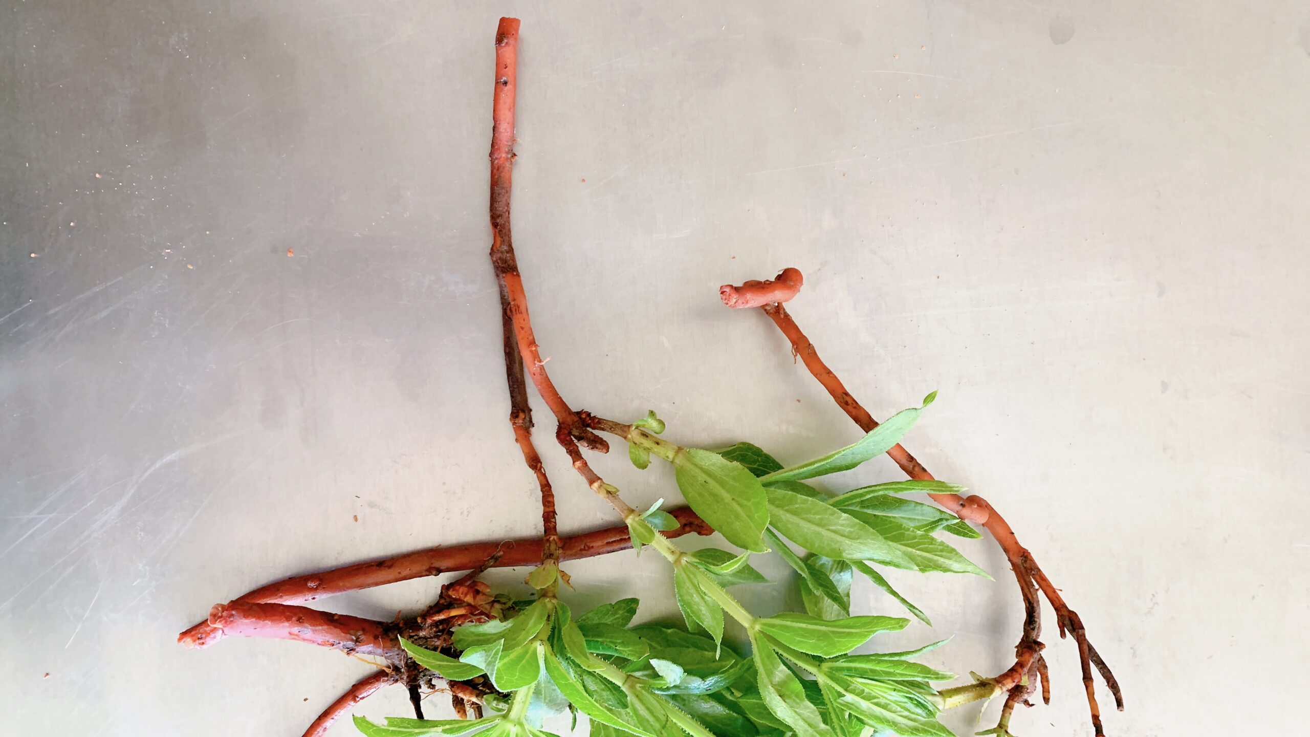 bandeau-nouvelle-annee