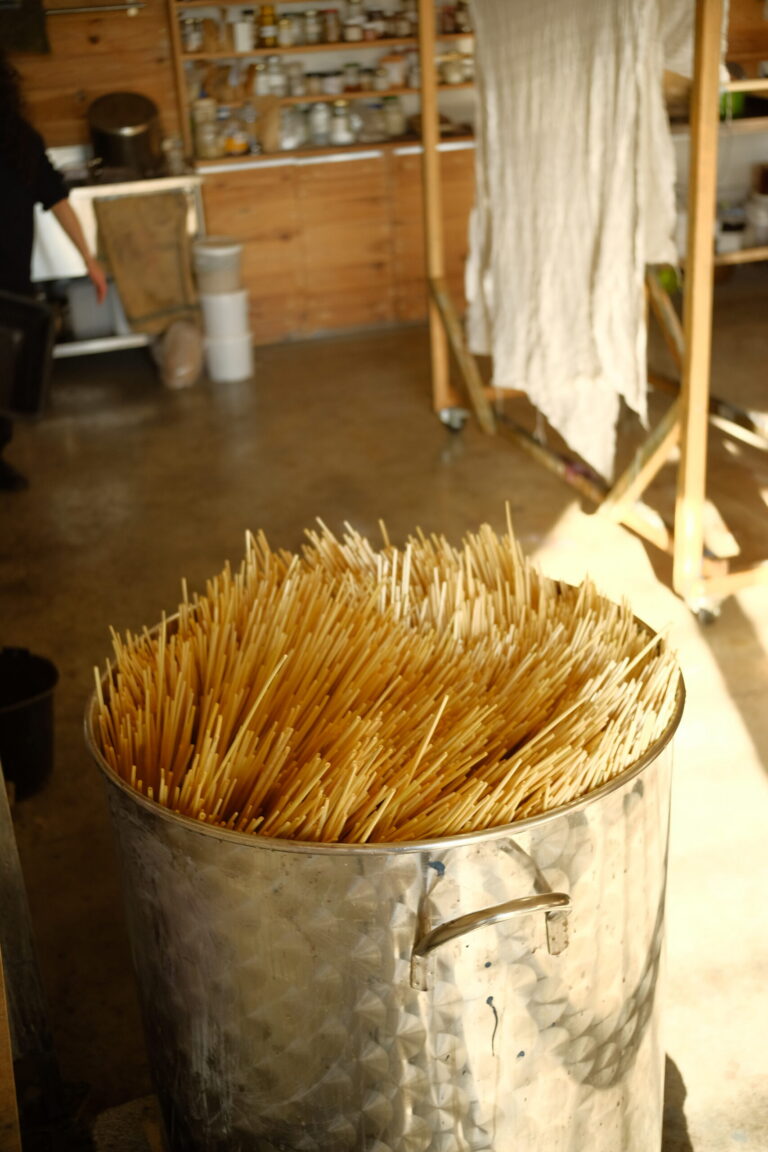 Teindre la paille pour mieux la révéler