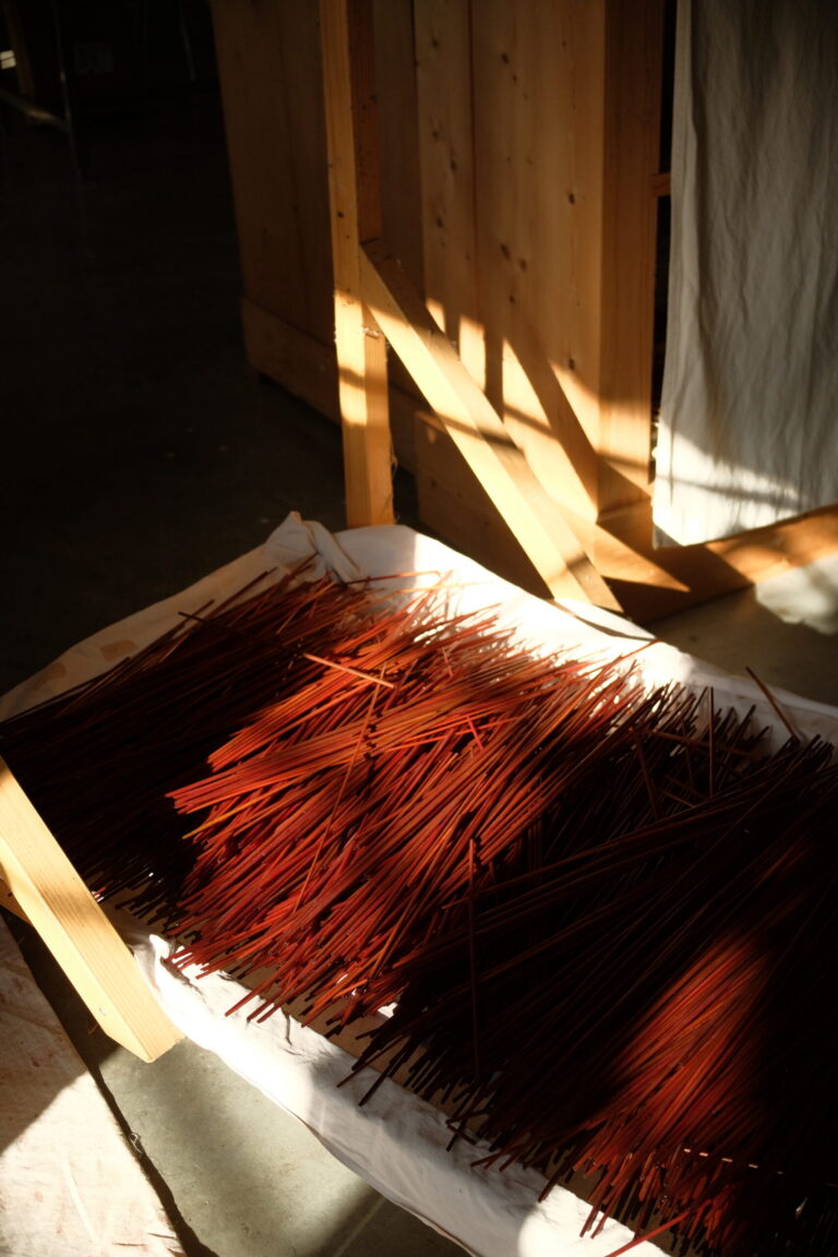 Teindre la paille pour mieux la révéler