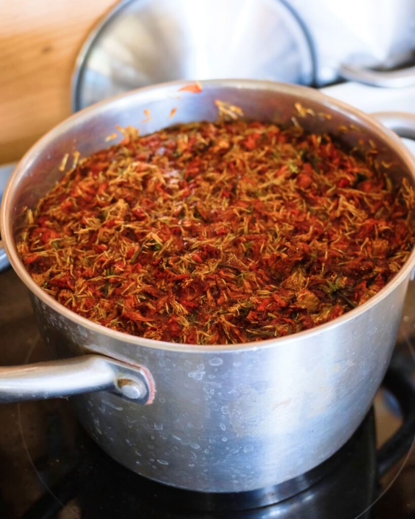 Cosmos sulfureux : une floraison d’été