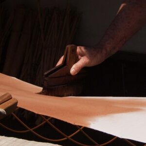 Formation : Kakishibu, recherches et applications au Japon