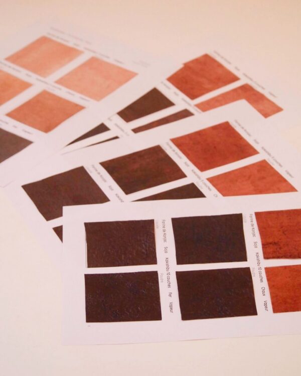 Le kakishibu : l’art du kaki fermenté illustration 4