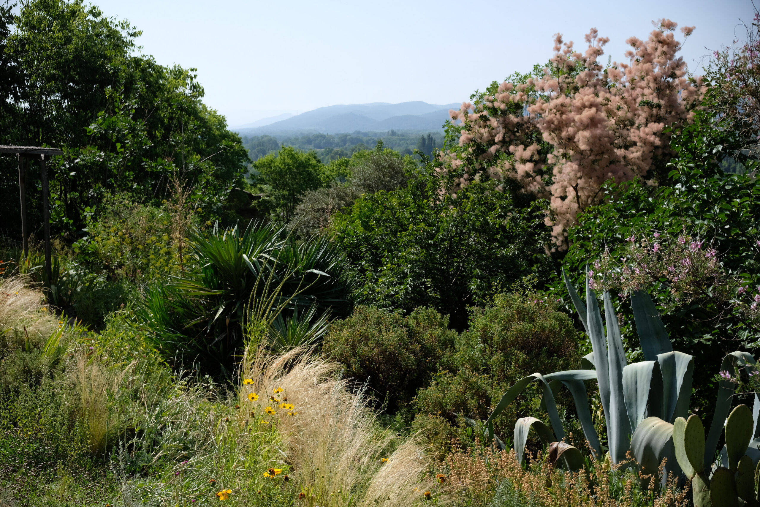 Jardin_plantes_tinctoriales